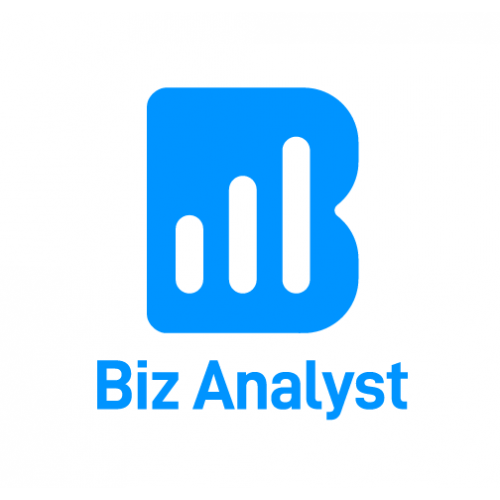 Biz Analyst - Essential