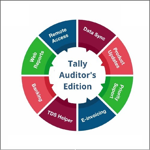 TSS - Auditors